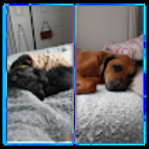 Meet your Posher, Madison